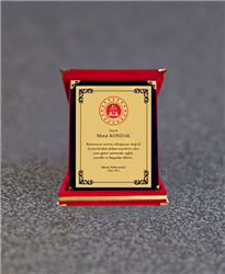 ALBÜM PLAKET-12x16 - 15x20 